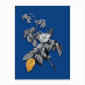 Vintage Apple Rose Black and White Gold Leaf Floral Art on Midnight Blue n.1013 Canvas Print