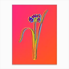 Neon Cowslip Cupped Daffodil Botanical in Hot Pink and Electric Blue n.0430 Canvas Print