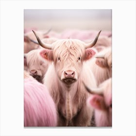Pink Realistic Photography Of Highland Cows 2 Canvas Print