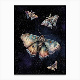 Moths In The Night Sky Canvas Print