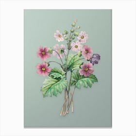Vintage The Chinese Primrose Botanical Art on Mint Green n.0427 Canvas Print