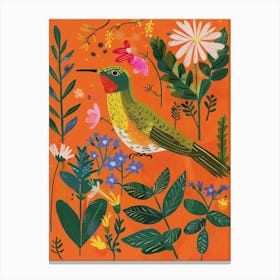 Spring Birds Hummingbird 2 Canvas Print