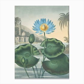 The Blue Egyptian Water-Lily by Robert John Thornton (1807) Canvas Print