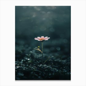 Flower In The Dark 57 Canvas Print