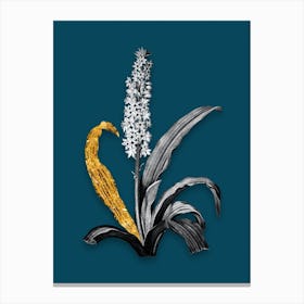Vintage Eucomis Punctata Black and White Gold Leaf Floral Art on Teal Blue n.0619 Canvas Print
