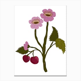 cherry blossom Canvas Print