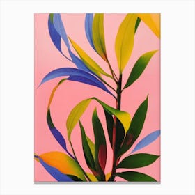 Dumb Cane Colourful Illustration Plant Canvas Print