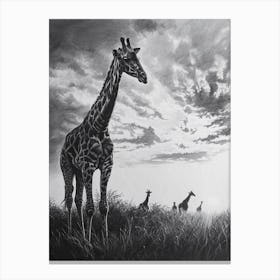 Herd Of Giraffes In The Sun Pencil Drawing 1 Canvas Print