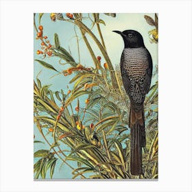 Cuckoo 3 Haeckel Style Vintage Illustration Bird Canvas Print