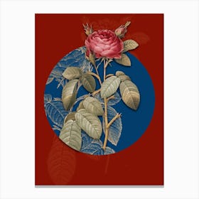 Vintage Botanical Red Gallic Rose on Circle Blue on Red n.0065 Canvas Print