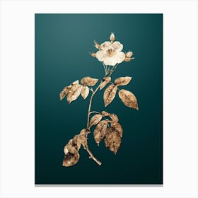Gold Botanical Big Leaved Climbing Rose on Dark Teal n.0778 Canvas Print