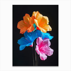 Bright Inflatable Flowers Bougainvillea 1 Canvas Print