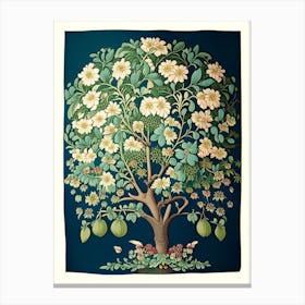 Umbrella Tree 2 Floral Botanical Vintage Poster Flower Canvas Print