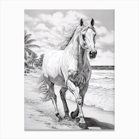 A Horse Oil Painting In Flamenco Beach, Puerto Rico, Portrait 3 Canvas Print