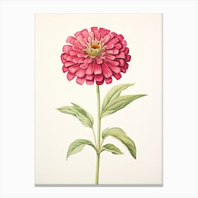 Zinnias Flower Vintage Botanical 3 Canvas Print