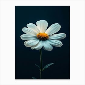 Daisy 18 Canvas Print