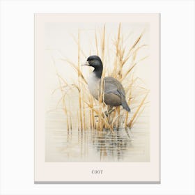 Vintage Bird Drawing Coot 4 Poster Canvas Print
