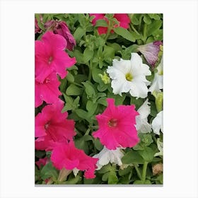 Cute Flowers Canvas Print