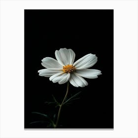 White Flower On A Black Background 3 Canvas Print