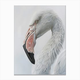 Flamingo 2 Canvas Print