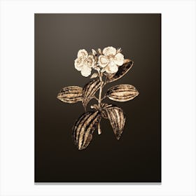Gold Botanical Starry Osbeckia Flower on Chocolate Brown n.0523 Canvas Print