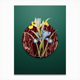 Vintage Spanish Iris Botanical in Gilded Marble on Dark Spring Green Canvas Print