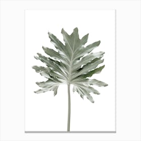 Green Minimal Leaf Canvas Print