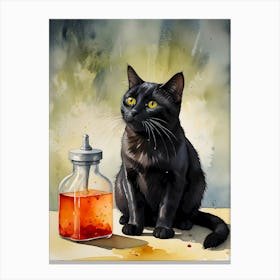 The Alchemist’s Cat Canvas Print