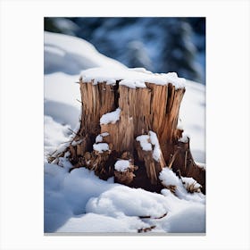 Tree Stump In Winter Canvas Print
