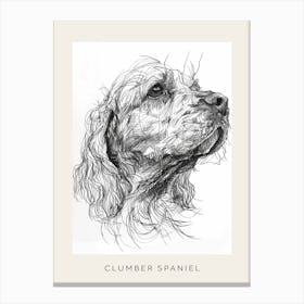 Clumber Spaniel Dog Line Sketch 2 Poster Canvas Print