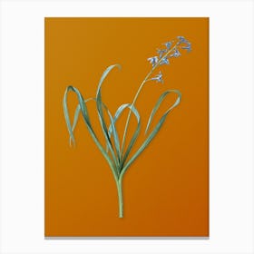 Vintage Dutch Hyacinth Botanical on Sunset Orange n.0703 Canvas Print