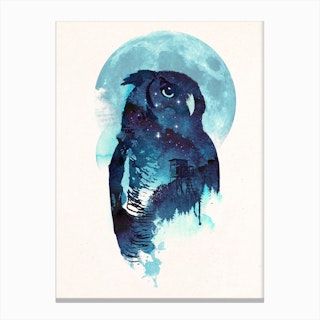 Midnight Owl Canvas Print