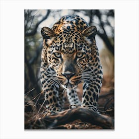 Leopard In The Forest Canvas Print