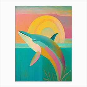 Rainbow Dolphin Canvas Print