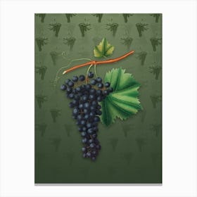 Vintage Berzemina Grape Botanical on Lunar Green Pattern n.2213 Canvas Print