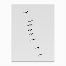 Black And White Pelicans Soaring Above Canvas Print