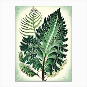 Soft Shield Fern 3 Vintage Botanical Poster Canvas Print