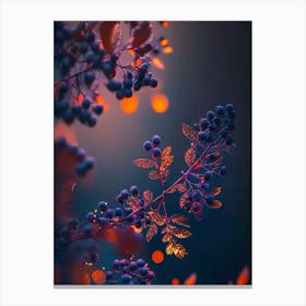 night flowers Canvas Print