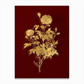 Vintage Burgundy Cabbage Rose Botanical in Gold on Red n.0102 Canvas Print