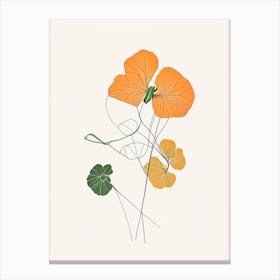 Nasturtium Floral Minimal Line Drawing 2 Flower Canvas Print