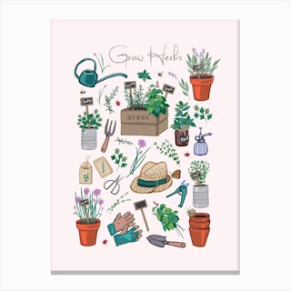 Grow Herbs Canvas Print