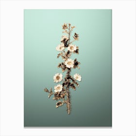 Gold Botanical Scotch Rose Bloom on Mint Green n.4628 Canvas Print