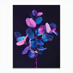 Eucalyptus 14 Canvas Print