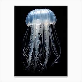 Irukandji Jellyfish Simple Illustration 3 Canvas Print