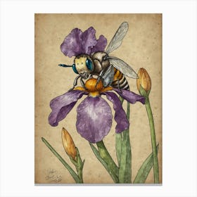 Bee On Iris 1 Canvas Print