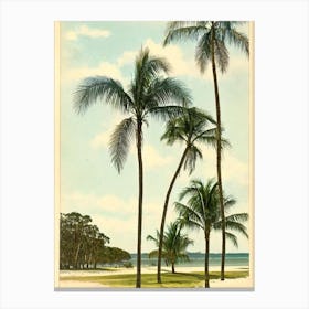 Bribie Island Beach Australia Vintage Canvas Print