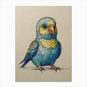 Blue And Yellow Parrot Canvas Print