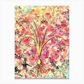 Impressionist Brimeura Botanical Painting in Blush Pink and Gold n.0005 Canvas Print