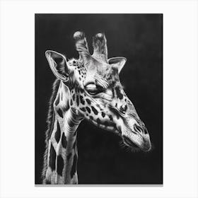 Giraffe Grey Pencil Drawing 2 Canvas Print