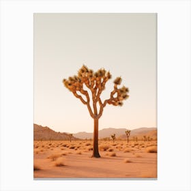  Photograph Of A Joshua Tree At Dawn In Desert 3 Canvas Print